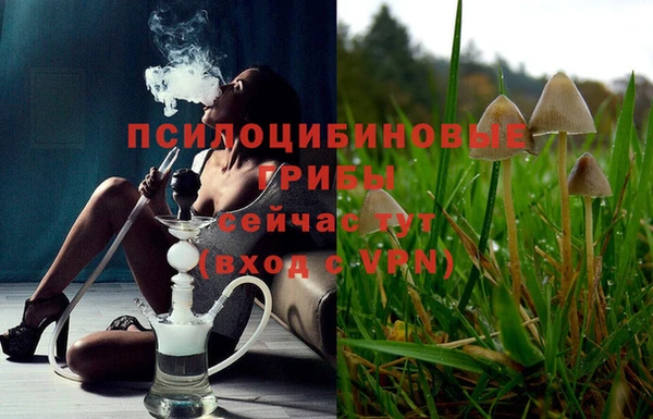 круглые Билибино