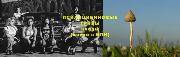 2c-b Абаза