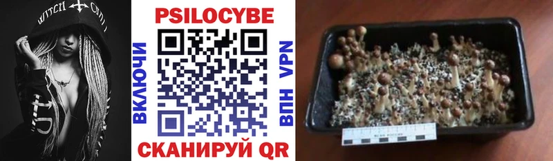 Галлюциногенные грибы GOLDEN TEACHER Партизанск